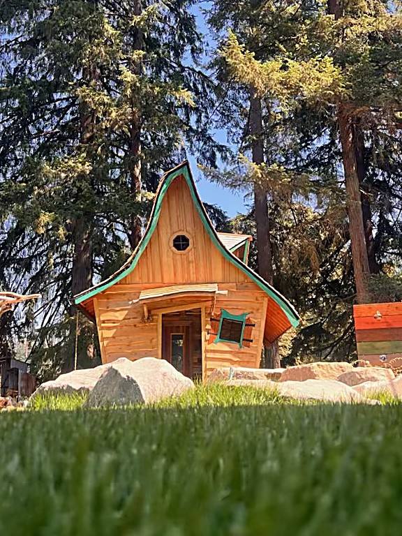 Hand-built cedar sauna beneath tall firs on a clear day